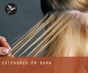 Extensões em Born Extensões em Born