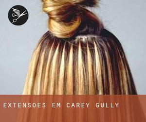 Extensões em Carey Gully