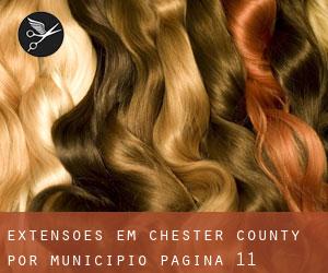 Extensões em Chester County por município - página 11