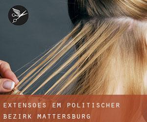 Extensões em Politischer Bezirk Mattersburg