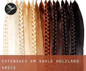 Extensões em Saale-Holzland-Kreis