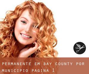 Permanente em Bay County por município - página 1