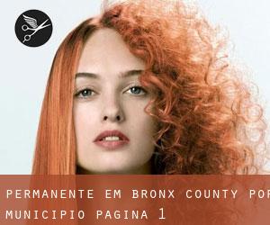 Permanente em Bronx County por município - página 1