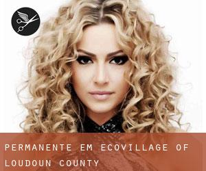 Permanente em EcoVillage of Loudoun County