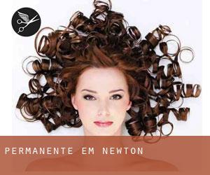 Permanente em Newton