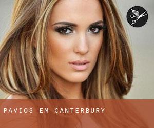 Pavios em Canterbury Pavios em Canterbury