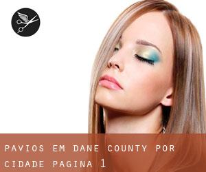 Pavios em Dane County por cidade - página 1