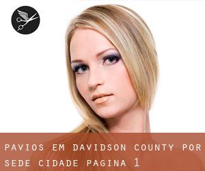 Pavios em Davidson County por sede cidade - página 1