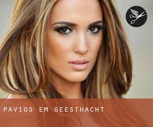 Pavios em Geesthacht Pavios em Geesthacht