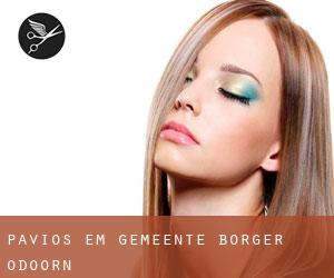 Pavios em Gemeente Borger-Odoorn Pavios em Gemeente Borger-Odoorn