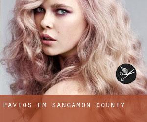 Pavios em Sangamon County