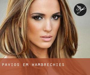 Pavios em Wambrechies Pavios em Wambrechies