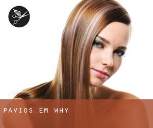 Pavios em Why Pavios em Why