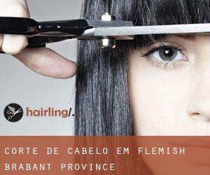 Corte de cabelo em Flemish Brabant Province