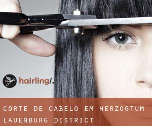 Corte de cabelo em Herzogtum Lauenburg District