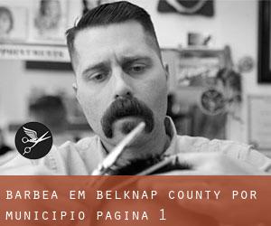 Barbea em Belknap County por município - página 1