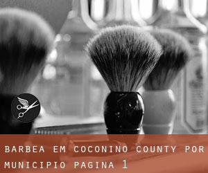 Barbea em Coconino County por município - página 1