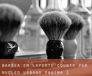 Barbea em LaPorte County por núcleo urbano - página 1