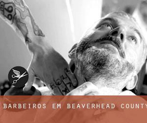 Barbeiros em Beaverhead County