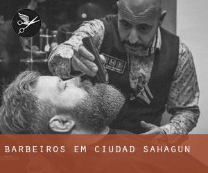 Barbeiros em Ciudad Sahagún