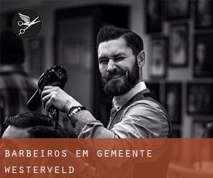 Barbeiros em Gemeente Westerveld Barbeiros em Gemeente Westerveld
