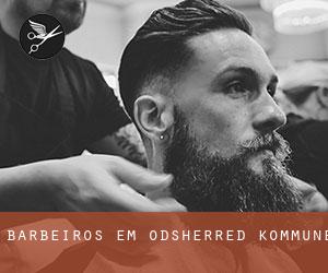Barbeiros em Odsherred Kommune Barbeiros em Odsherred Kommune