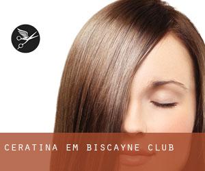 Ceratina em Biscayne Club