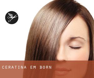 Ceratina em Born Ceratina em Born