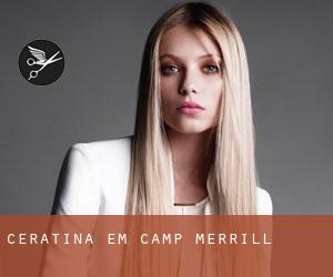 Ceratina em Camp Merrill