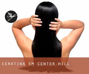 Ceratina em Center Hill