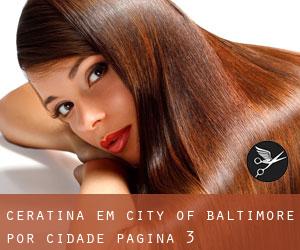 Ceratina em City of Baltimore por cidade - página 3