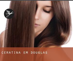 Ceratina em Douglas Ceratina em Douglas