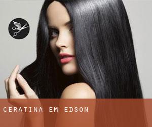 Ceratina em Edson Ceratina em Edson