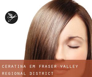 Ceratina em Fraser Valley Regional District