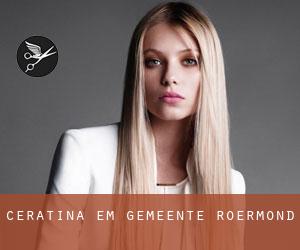 Ceratina em Gemeente Roermond Ceratina em Gemeente Roermond