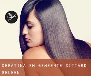 Ceratina em Gemeente Sittard-Geleen Ceratina em Gemeente Sittard-Geleen