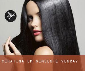 Ceratina em Gemeente Venray Ceratina em Gemeente Venray