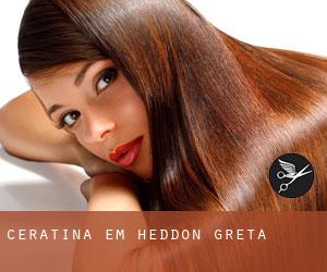 Ceratina em Heddon Greta