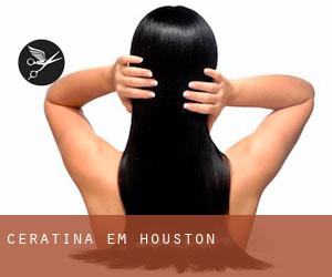 Ceratina em Houston Ceratina em Houston
