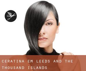 Ceratina em Leeds and the Thousand Islands