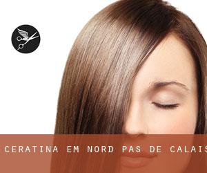 Ceratina em Nord-Pas-de-Calais Ceratina em Nord-Pas-de-Calais