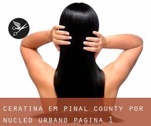 Ceratina em Pinal County por núcleo urbano - página 1