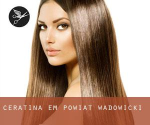 Ceratina em Powiat wadowicki Ceratina em Powiat wadowicki
