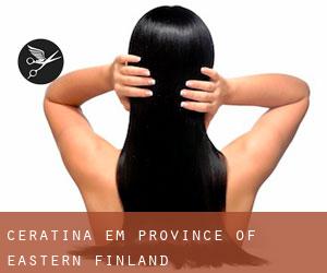 Ceratina em Province of Eastern Finland