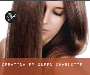 Ceratina em Queen Charlotte