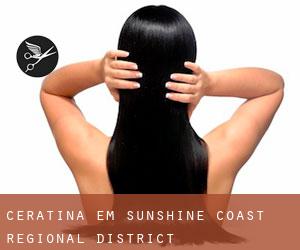 Ceratina em Sunshine Coast Regional District