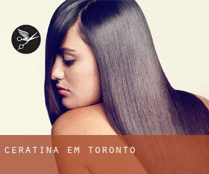 Ceratina em Toronto Ceratina em Toronto