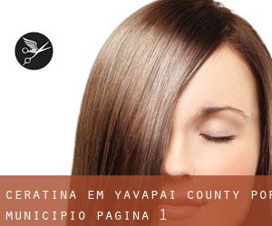 Ceratina em Yavapai County por município - página 1