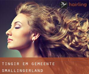 Tingir em Gemeente Smallingerland Tingir em Gemeente Smallingerland