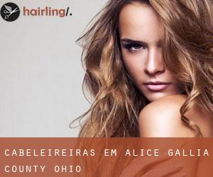 cabeleireiras em Alice (Gallia County, Ohio)